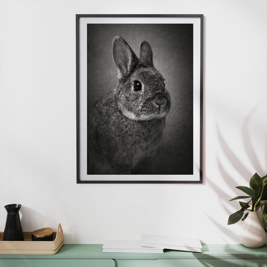 Erinnerungsbild im zeitlosen Design 🖤